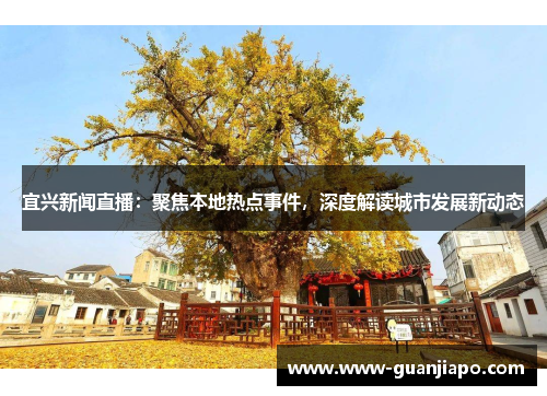 宜兴新闻直播：聚焦本地热点事件，深度解读城市发展新动态