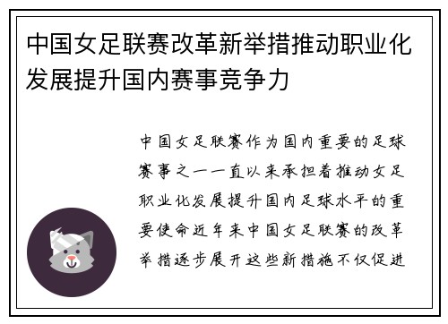 中国女足联赛改革新举措推动职业化发展提升国内赛事竞争力
