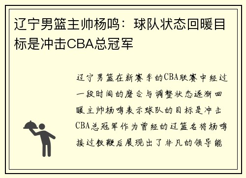 辽宁男篮主帅杨鸣：球队状态回暖目标是冲击CBA总冠军
